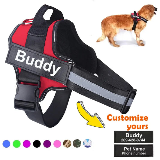 Personalized Dog Leash