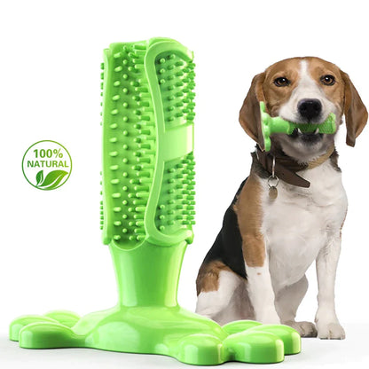 Dog Toothbrush Chew Toy